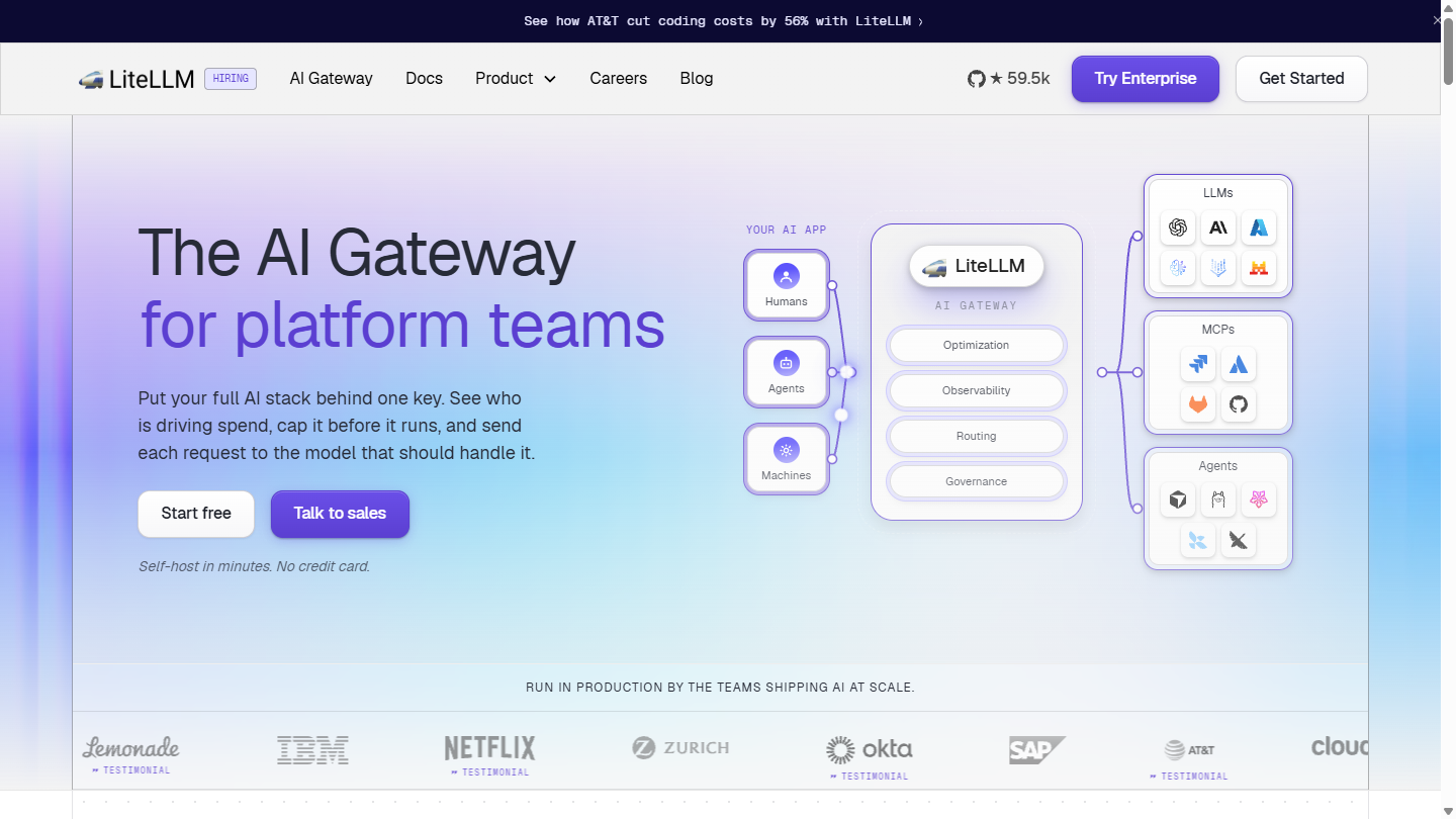 LiteLLM官网首页界面截图
