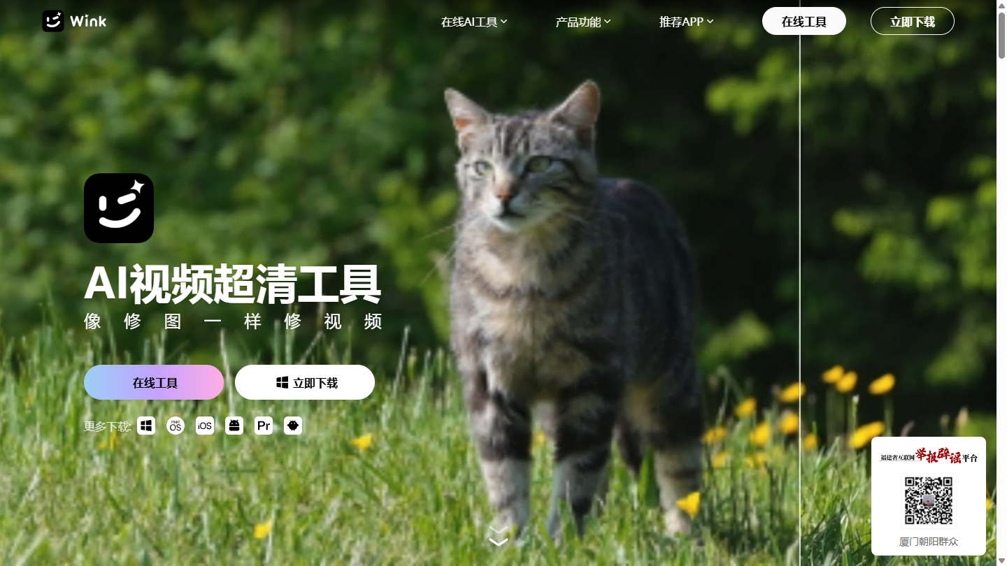 美图Wink官网首页界面截图
